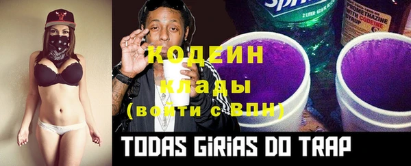эйфоретик Балахна
