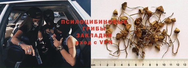 эйфоретик Балахна